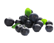 Acai berry extract