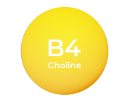 Choline
