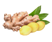 Ginger Root