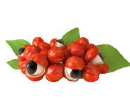 Guarana