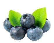Blueberry